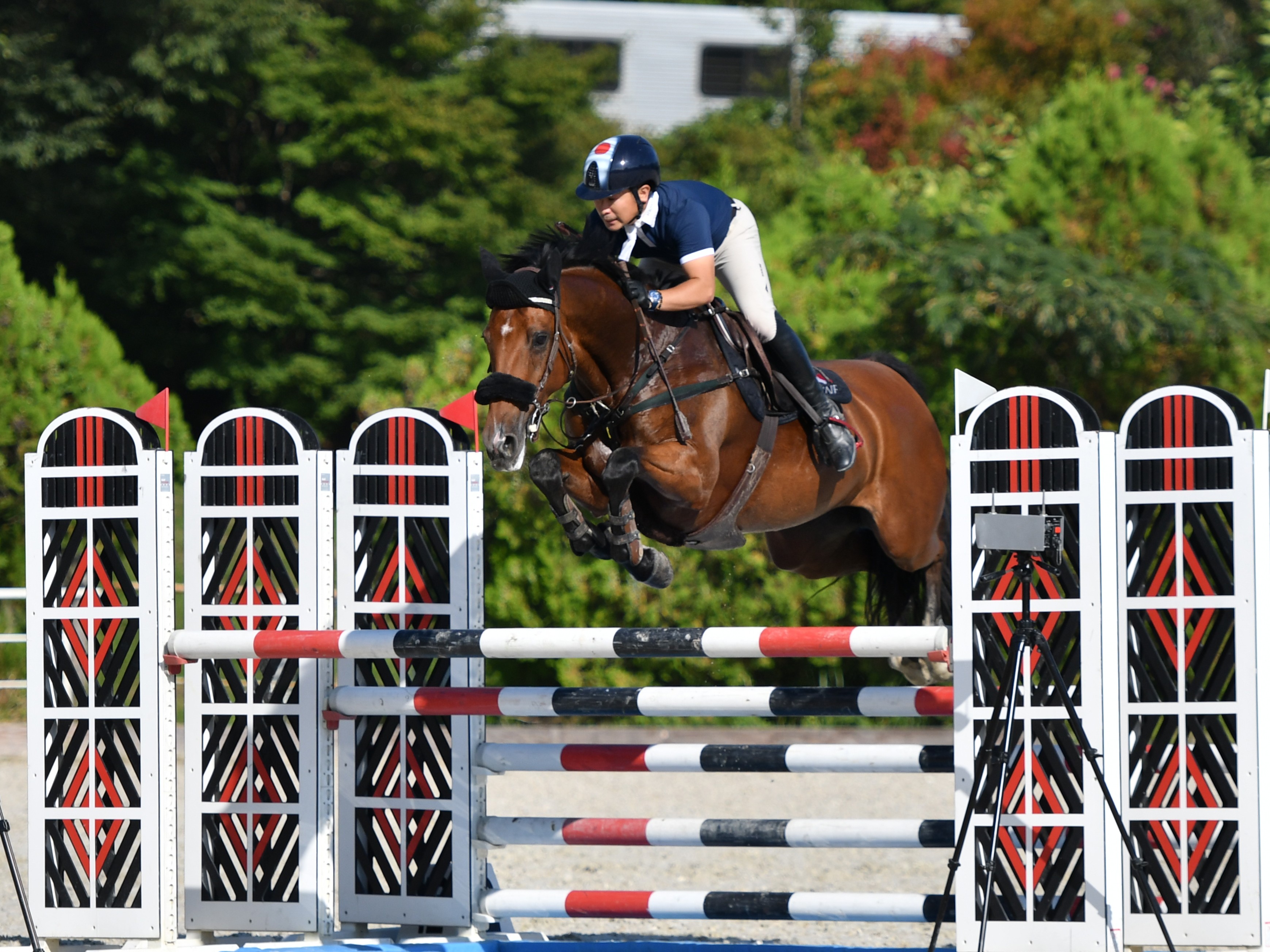 全日本ジュニア総合・全日本ダービー》2日目レポート 公益社団法人